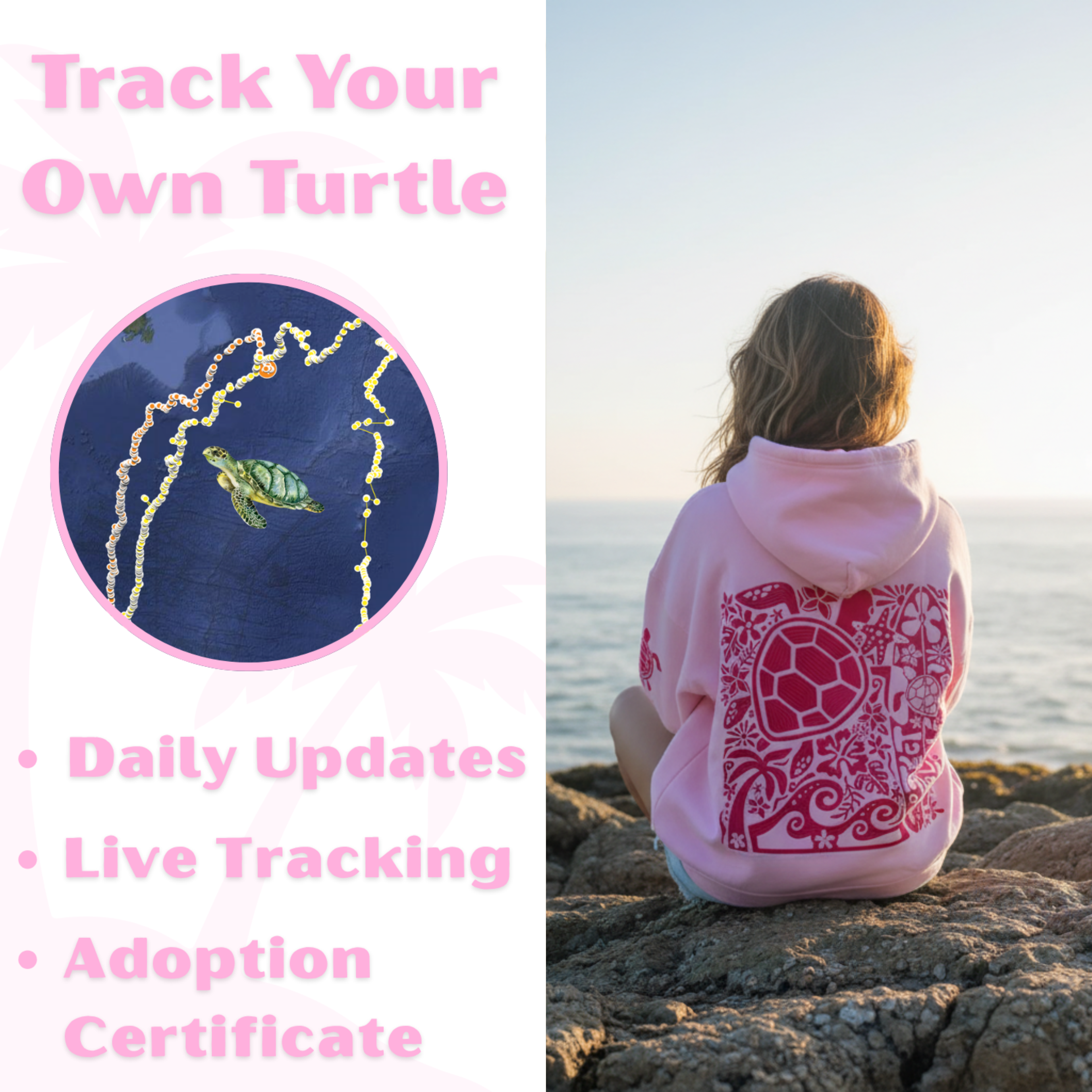 Turtle Threads Adoption Hoodie